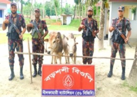 রাজবাড়ী